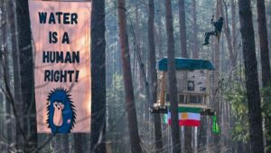 activists occupy woodland near tesla plant in grunheide