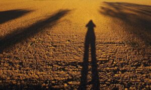 lonely human shadow between long shadows of trees