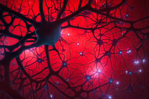 Neurons