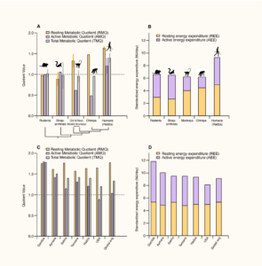 New Fig 3 1