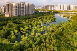 Sanya Dongan Wetland Park Sanya Hainan Province China 2021. Photo ©Turenscape courtesy The Cultural Landscape Foundation.1